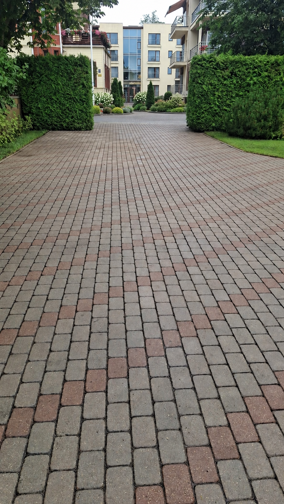Paved courtyard framed by green hedges
